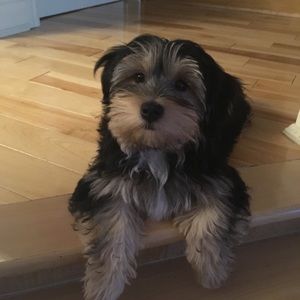 Meet your Posher, Michelina